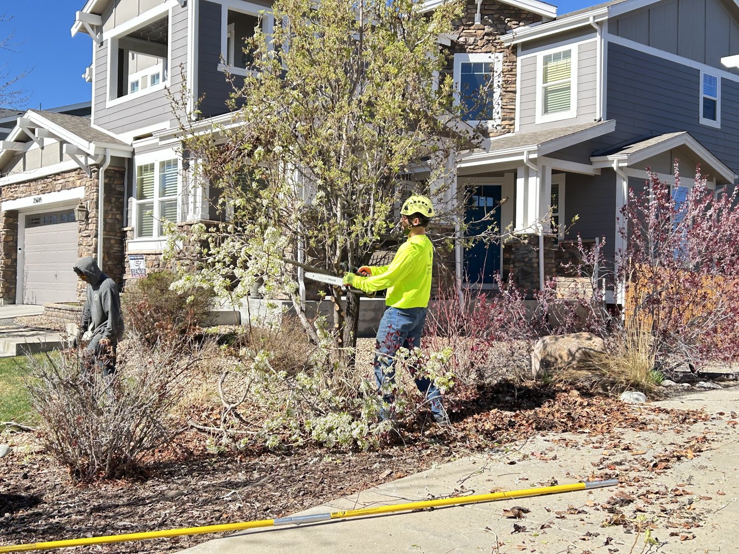 Adams Tree Care crew working front-yard trees and shrubs at a Denver home