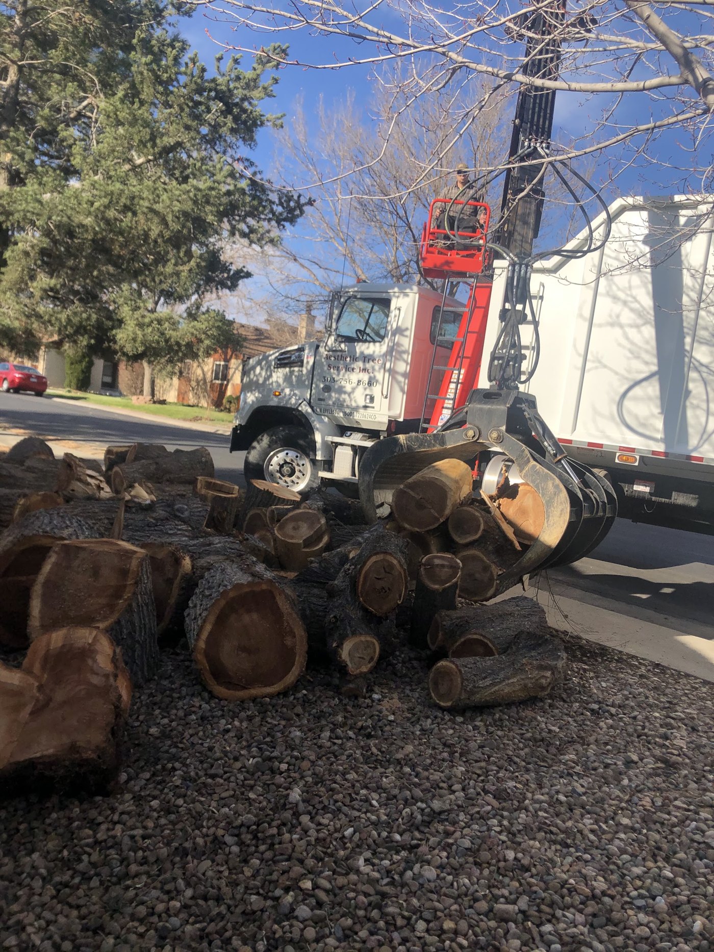 Logs loaded out by grapple truck after a removal